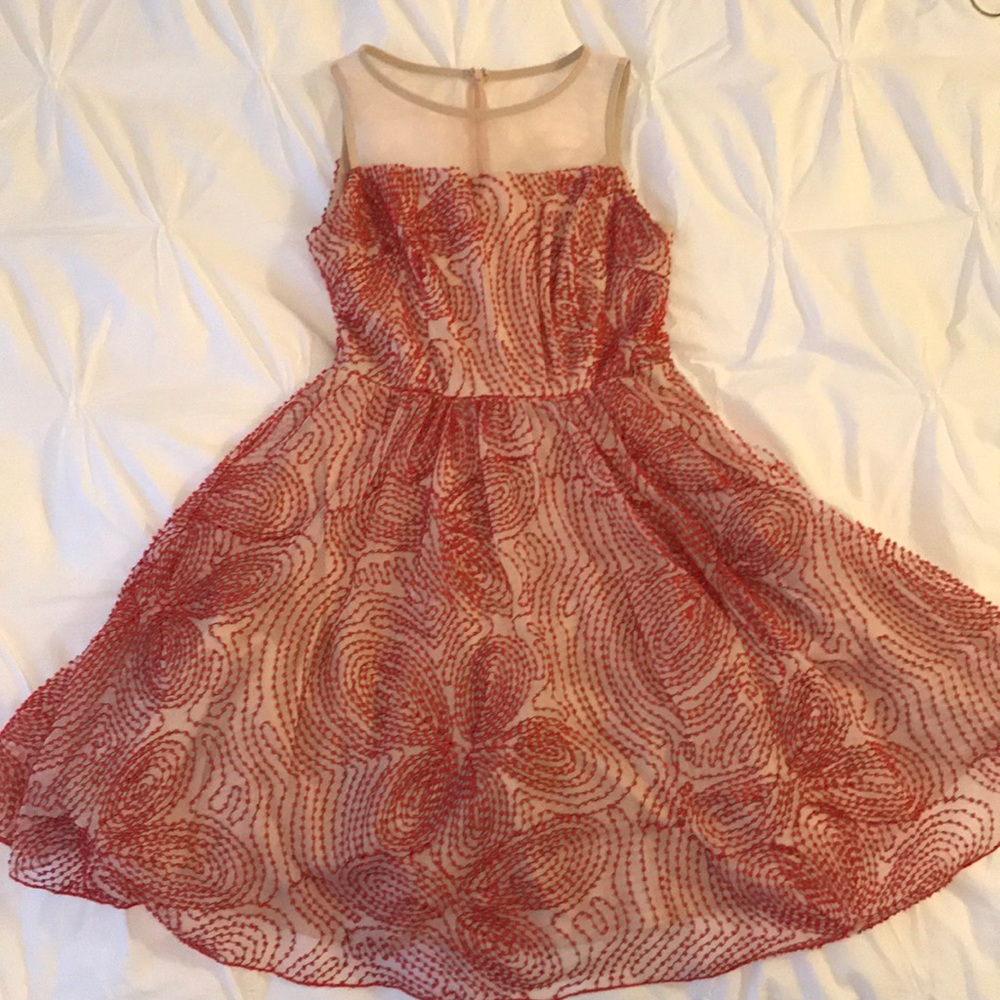 Stunning Eva Franco (Anthropologie) Dress